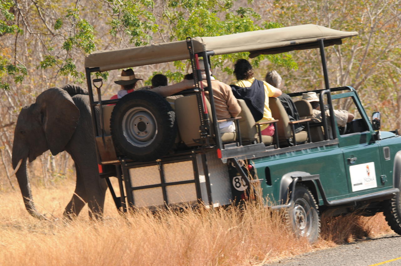 Ngoma Safari Lodge Kavimba Екстер'єр фото