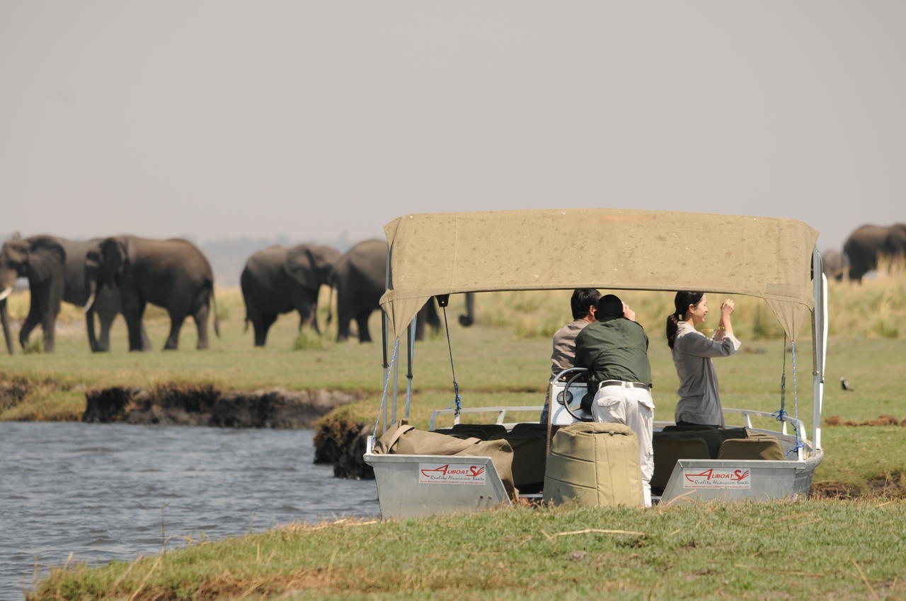 Ngoma Safari Lodge Kavimba Екстер'єр фото