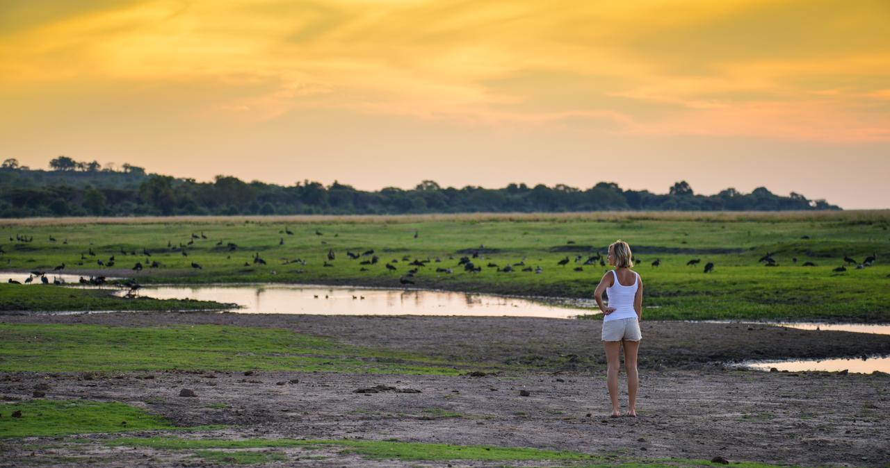 Ngoma Safari Lodge Kavimba Екстер'єр фото