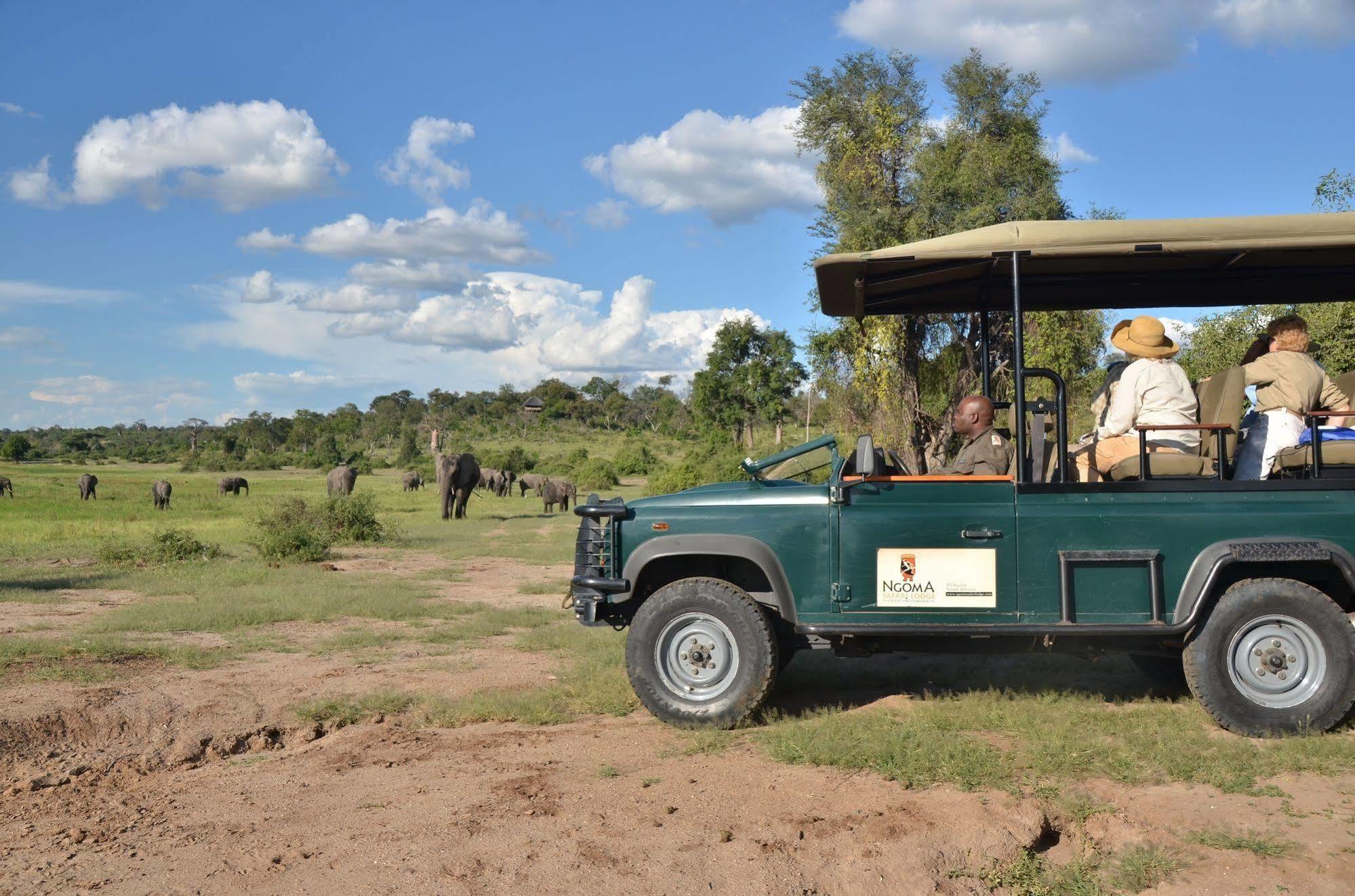 Ngoma Safari Lodge Kavimba Екстер'єр фото
